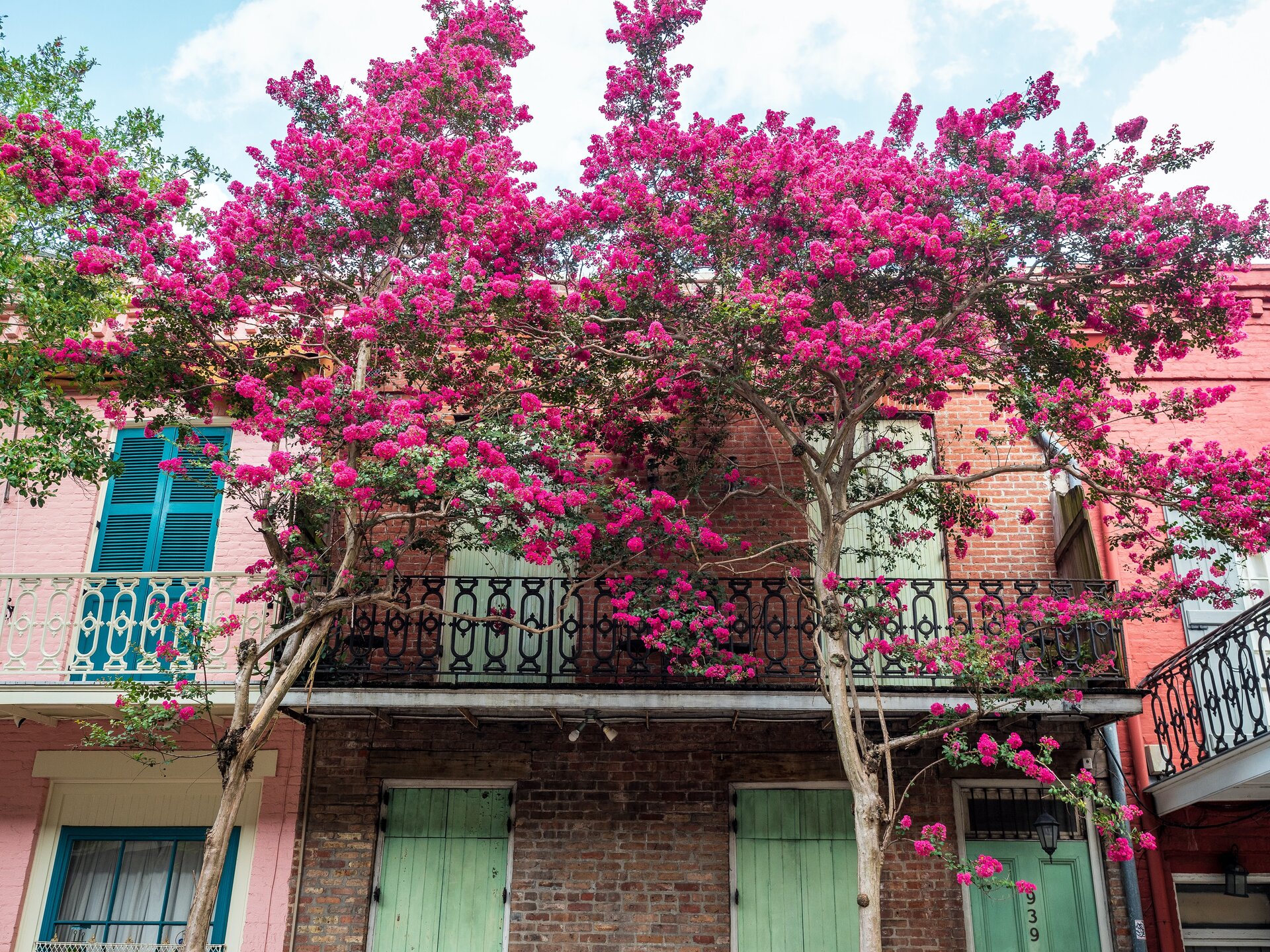 flowers on a balcony